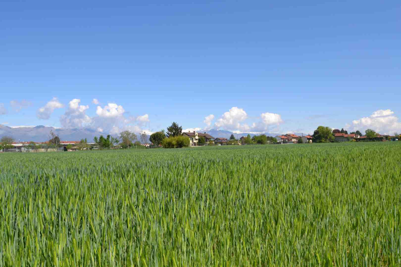 Verde - San Maurizio Canavese - Paese da scoprire - SMART